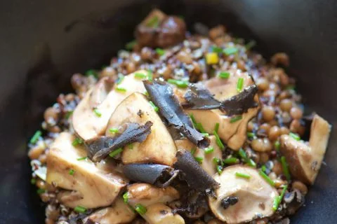 Salade de quinoa et lentilles aux cèpes