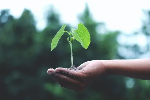 Devenir végétarien pour la planète